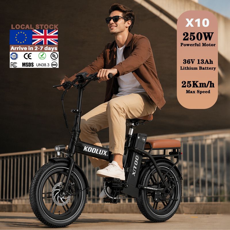 Mountain Biking Europe - Bicicleta Eléctrica Plegable X10 de Polonia,